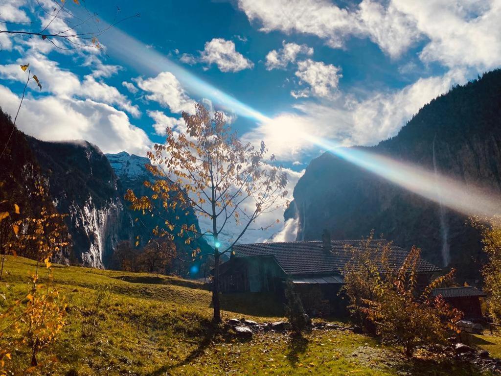 Chalet Baergstaeger Lauterbrunnen Esterno foto